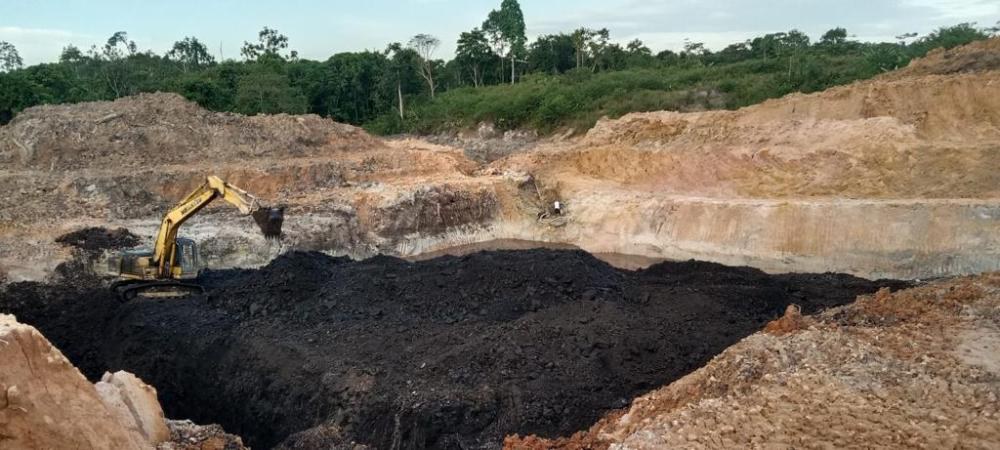 Indonesian Coal